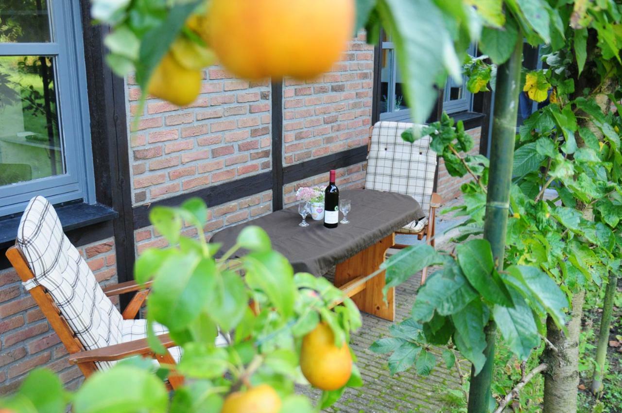 Aaltine 3 Apartment Bad Bentheim Luaran gambar